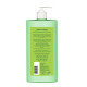 Biotique Fresh Neem Anti Dandruff Shampoo and Conditioner - Controls Dandruff