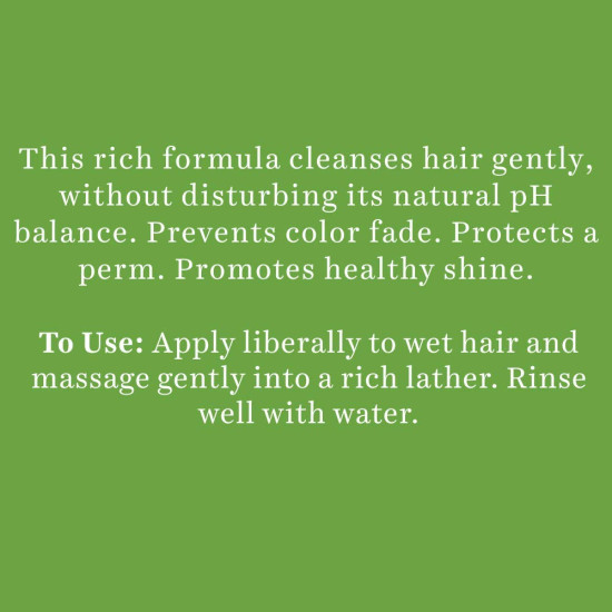 Biotique Bio Soya Protein Fresh Nourishing Shampoo - Repairs & Nourishes Hair