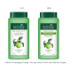 Biotique Green Apple Shine & Gloss Shampoo & Conditioner - Promotes Healthy, Shiny Hair