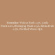 Biotique Bio Walnut Volume and Bounce Shampoo and Conditioner - Volumizing for Fine Hair