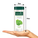 Biotique Bio Gotu Kola Smooth Skin Lotion - Deep Nourishment for Dry Skin