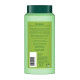Biotique Fresh Neem Anti Dandruff Shampoo and Conditioner - Controls Dandruff