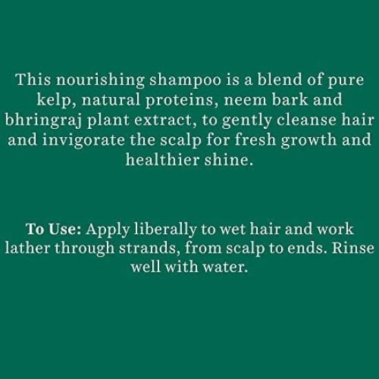 Biotique Ocean Kelp Anti Hairfall Shampoo - Intensive Hair Growth Therapy