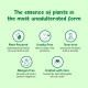 Mother Sparsh Plant Powered Baby Laundry Liquid Detergent - Gentle & Chemical-Free Mother Sparsh Plant Powered Baby Laundry Liquid Detergent - Gentle & Chemical-Free