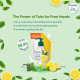 Himalaya Pure Hands Tulsi and Lemon Hand Wash - Deep Cleansing