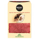 Nescafe Gold Cappuccino Coffee Premix - Rich & Creamy Delight