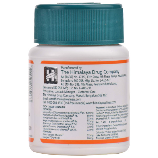 Himalaya Wellness Cystone 60 Tablets - Herbal Kidney Support