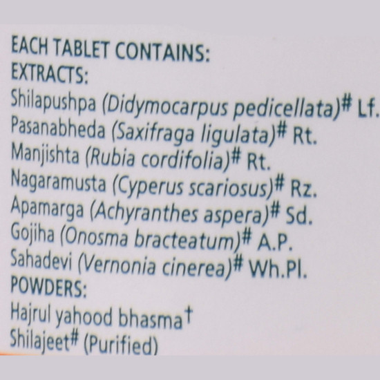 Himalaya Wellness Cystone 60 Tablets - Herbal Kidney Support