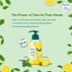 Himalaya Pure Hands Deep Cleansing Tulsi and Lemon Pump 250 ml - Removes Grease and Oil