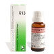 UVUBXT Dr. Reckeweg R 13 Hemorrhoidal 22 Ml - Effective Hemorrhoid Relief