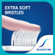 Sensodyne Deep Clean Manual Brush Super Saver Pack - Effective Oral Care