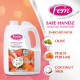 Fem Safe Handz Handwash - Kills Germs & Enriched with Peach & Olive Oil