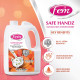 Fem Safe Handz Handwash - Kills Germs & Enriched with Peach & Olive Oil