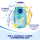NIVEA Frangipani and Oil Body Wash - Soft & Fresh Skin
