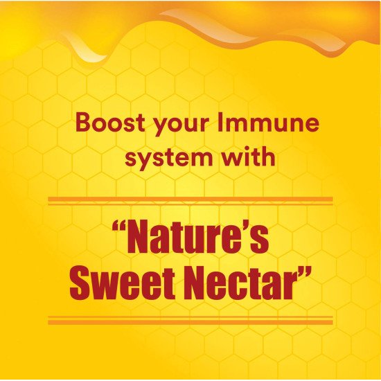 Baidyanath Honey I Natural Immunity Booster I Pure Honey I 500 gms - Pack of 2