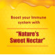 Baidyanath Honey I Natural Immunity Booster I Pure Honey I 500 gms - Pack of 2