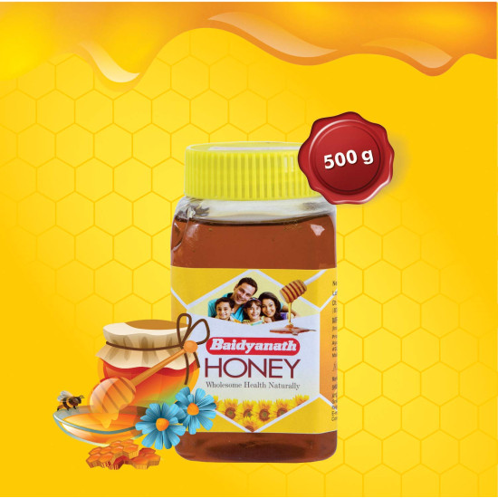 Baidyanath Honey I Natural Immunity Booster I Pure Honey I 500 gms - Pack of 2