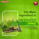Baidyanath Guduchi (Giloy) Ghanbati - 60 Tablets (pack of 2) - Helps Boost Immunity