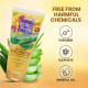 BoroPlus Aloe Vera Gel With Haldi Chandan Kesar - Soothing & Moisturizing Gel