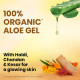 BoroPlus Aloe Vera Gel With Haldi Chandan Kesar - Soothing & Moisturizing Gel