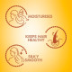 Sunsilk Almond & Honey Conditioner - Smooth & Nourished Hair