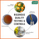 VAADI HERBALS Sweet Orange Essential Oil - Vitamin C Reduces Hairfall