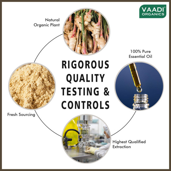 Vaadi Herbals Ginger Essential Oil - 100% Pure Therapeutic Grade