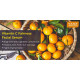 VAADI HERBALS Vitamin C Fairness Facial Serum - Brightens & Protects Skin