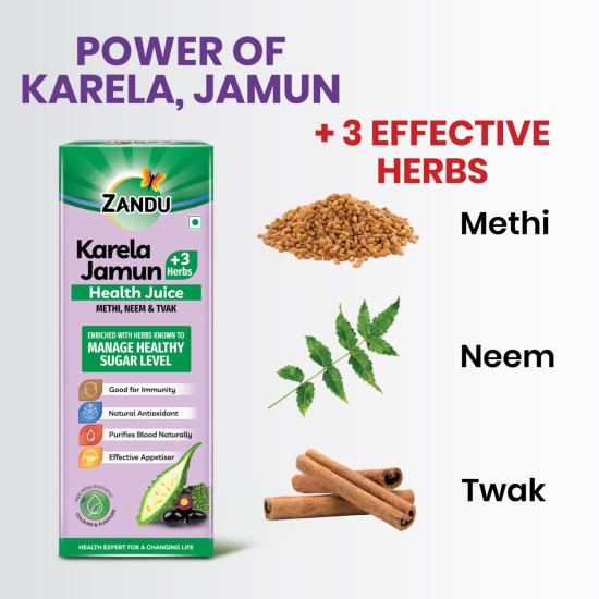 Zandu Karela Jamun Juice 1L - Natural Blood Sugar Regulator