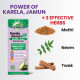 Zandu Karela Jamun Juice 1L - Natural Blood Sugar Regulator