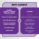 Zandu Karela Jamun Juice 1L - Natural Blood Sugar Regulator