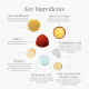 Forest Essentials Soundarya Radiance Cream With 24K Gold & SPF 25 - Iconic & Illuminating Unisex Facial Moisturiser