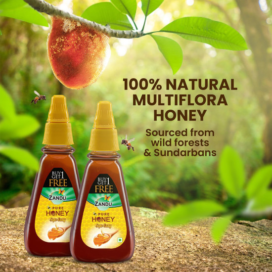 Zandu Pure Honey Squ-Easy - Unique Blend of Sunderban Honey & Tulsi