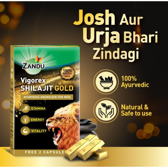 Zandu Vigorex Shilajit Gold - Enhance Stamina & Energy Naturally