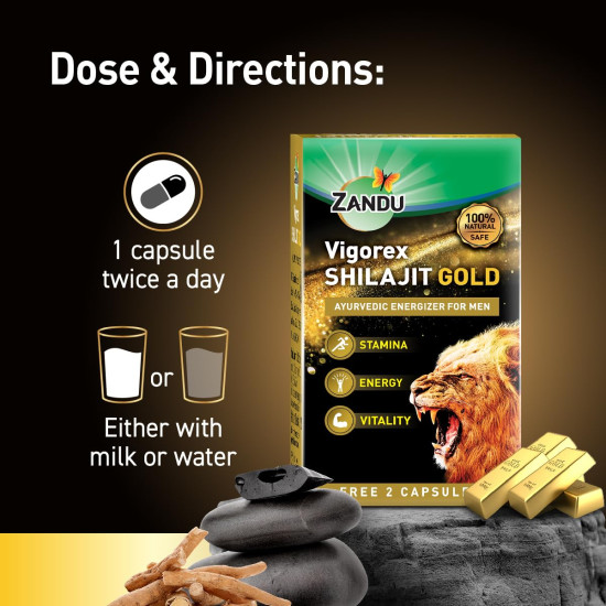 Zandu Vigorex Shilajit Gold - Enhance Stamina & Energy Naturally