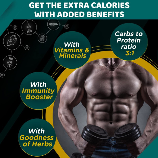 Himalaya Quista Pro MASS For Weight Gain - 1kg (Chocolate) - Optimal Mass Gain