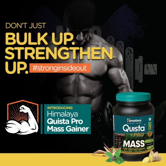 Himalaya Quista Pro MASS For Weight Gain - 1kg (Chocolate) - Optimal Mass Gain
