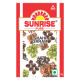 Sunrise Pure Shahi Garam Masala Powder - Authentic Indian Spice Blend