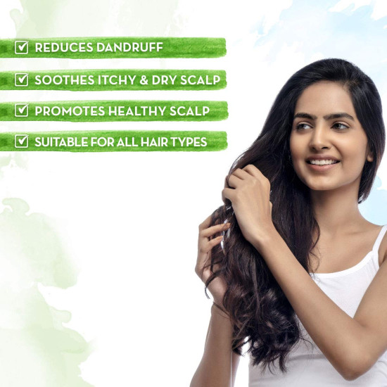 Mamaearth Tea Tree Anti Dandruff Hair Oil - Dandruff-Free Hair Solution