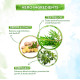 Mamaearth Tea Tree Anti Dandruff Hair Oil - Dandruff-Free Hair Solution