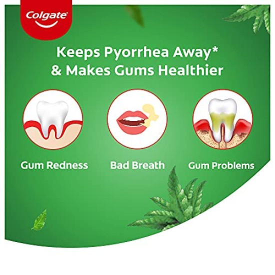 Colgate Active Salt Neem Toothpaste - Healthy Gums & Fresh Breath
