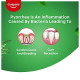 Colgate Active Salt Neem Toothpaste - Healthy Gums & Fresh Breath