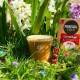 Nescafe Gold Cappuccino - Instant Coffee Delight
