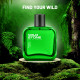Wild Stone Long Lasting Forest Spice Perfume for Men - Woody and Spicy Fragrance