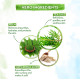 Mamaearth Tea Tree Body Wash - Natural Skin Purification
