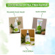 Mamaearth Tea Tree Body Wash - Natural Skin Purification