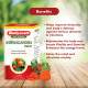 Baidyanath Asli Ayurved Ashwagandha Tablet I Immunity Booster I Antioxidant I Rejuvenate Mind & Body I 60 Tablets (Pack Of 2)