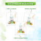 Mamaearth Rice Water Shampoo - Damage Repair & Split End Reduction