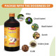 BAIDYANATH AYURVED Amritarishta - 450 Ml | Boost Digestive Strength and Appetite| Useful In Cough, Cold and In General Weakness | Liquid