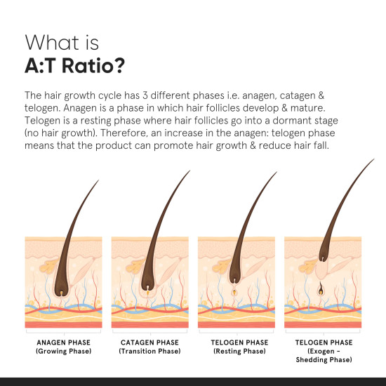 Minimalist Hair Growth Serum - 18% Hair Growth Actives for Hair Fall Control Minimalist Hair Growth Serum - 18% Hair Growth Actives for Hair Fall Control